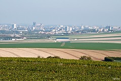 Champagne, de Reims à Epernay