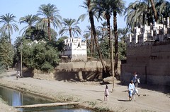 1.EGYPTE 1980-Pigeonniers