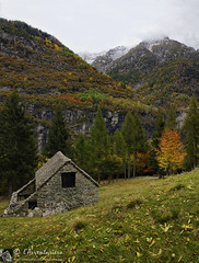Esigo e Alpe Brumei (Valle Devero - Piemonte)