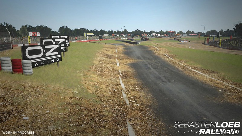 Sébastien Loeb Rally Evo road surface