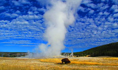 Yellowstone National Park, Sept 2015
