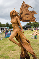 Woodfest north Wales