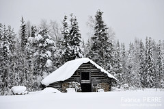 Lapland - February 2013