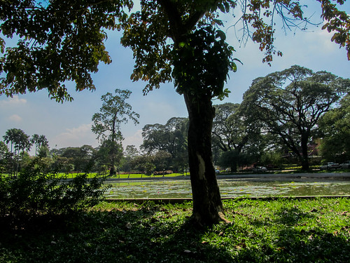 Yangon: le parc Kandawgyi, où nous avons fait notre sieste