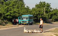2015 Vu en roulant en Moldavie.ouest,scènes de matin et de soir