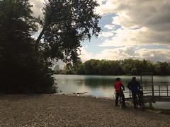 Cycling along the river Rhine