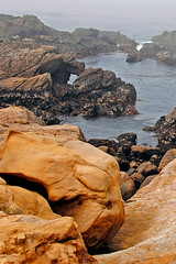 Point Lobos Nature Reserve, CA
