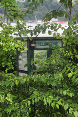 Jungle Phone Booth