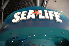 SEA LIFE Aquarium 2015 - Orlando, Florida 