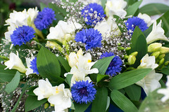 Flower arrangements