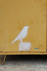 Stencil Painted Birds (Guillermo S. Quintana) -  Merida, Mexico