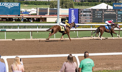 Santa Anita Horse Racing Arcadia California 10 2016