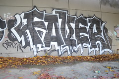 Seattle Graffiti  FAVER