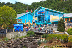 newRipley's Aquarium of the Smokies. Gatlinburg, Tennessee. album