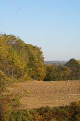 Fall Views 2006