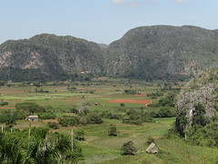 Cuba - Viñales - Pinar del Rio