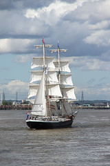 Sail Greenwich 2015