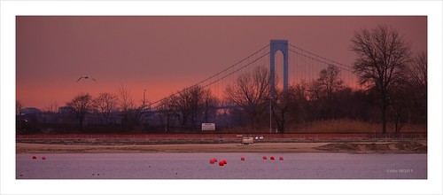 sunset newyork sunrise dusk bronx cityisland orchardbeach