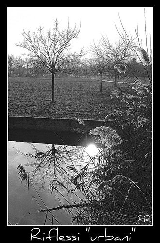 park camera italy parco reflection tree nature digital canon italia natura powershot ferrara albero picnik compact riflesso a560 parcourbano