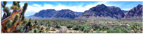 redrockcanyon cactus usa mountains desert lasvegas nevada wilderness rugged fotografdude sonyrx100
