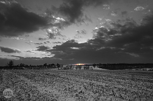 trees winter sunset blackandwhite bw snow cold field clouds barn canon rebel farm kentucky ky orchard tokina vista hdr highdynamicrange alfalfa vast colorfocus t2i 1116mm