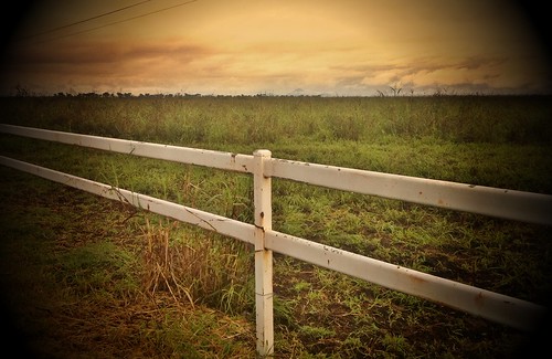 fence iphone