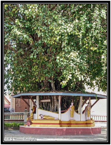 roiet isaan northeastthailand thailand buddhism temple watklangmingmueang wat bodhitree bodhi buddhisttemples buddhaimages