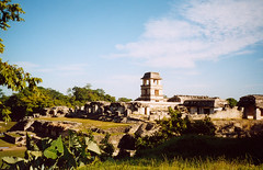 Mexické zastavení 3<br>Palenque, po stopách starých Mayů