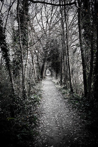 trees nature alberi canon walk almostbw natura lungotevere sentiero perugia passeggiata quasibn pontesangiovanni eos500d sophystika