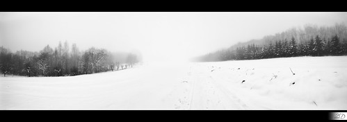 blackandwhite panorama white snow black france tree landscape noir noiretblanc pentax explorer ardennes explore neige hd paysage tamron arbre blanc hervé k7 dapremont hervédapremont