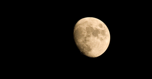 night Moon II