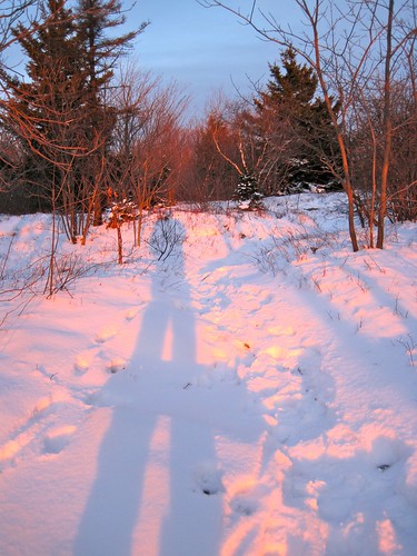 winter light sunset shadow snow outdoors hiking snowy berkshires mountgreylock berkshirecounty mtgreylockstatereservation mountgreylockstatereservation