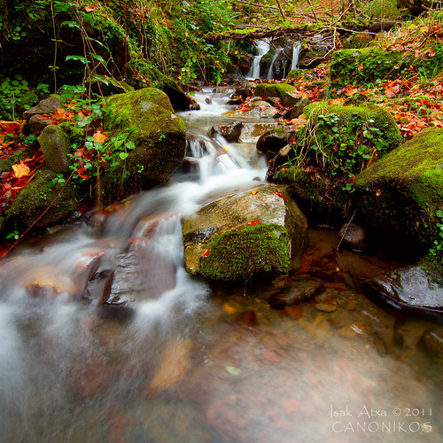 autumn trees green nature water leaves river landscape waterfall bizkaia euskalherria basquecountry atxarte urkiola