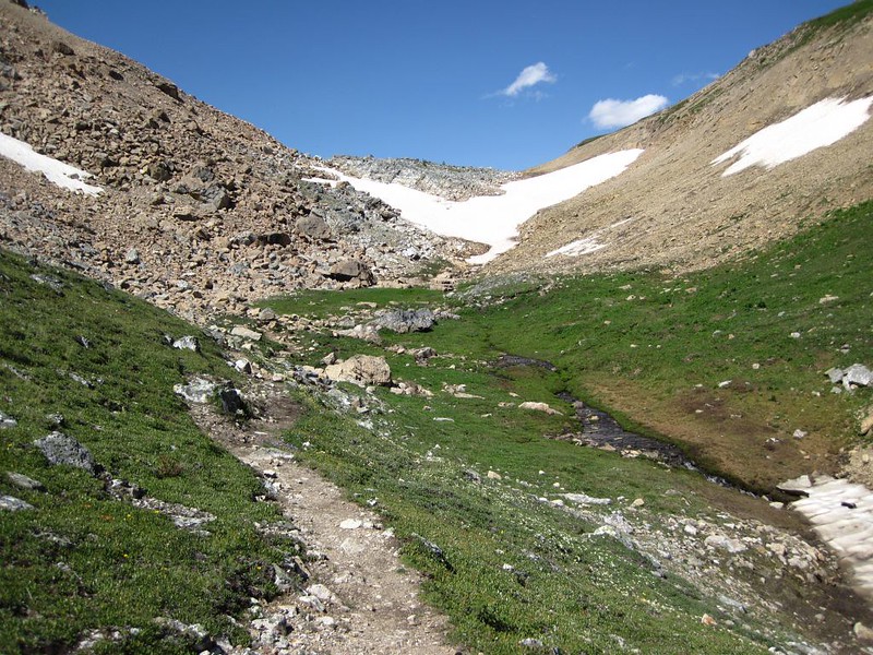 The final climb toward the snow in Pulsatilla Pass