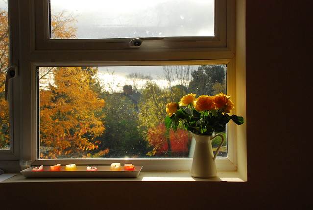 Autumn from my window