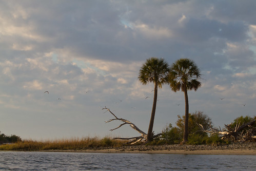 sunset gulfofmexico water birds clouds island kayak florida palmtrees yankeetown 2011 withlacoocheebay brentwalker hortonstravels