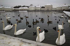 “Joy of winter“ vor dem Schloss Nymphenburg