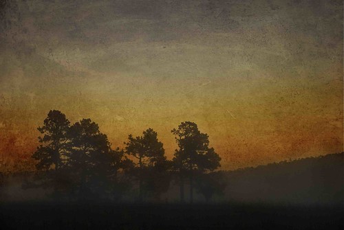 texture fog sunrise arkansas ozarks pinetrees kimklassenphotoshoptestkitchen kimklassentutorialactions warmvignettetexture