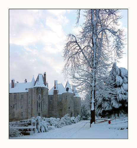 winter snow france castle landscape europe frost hiver 45 neige paysage fortress château gel froid loiret valdeloire châteaufort meungsurloire medievalcastle régioncentre nadcoz