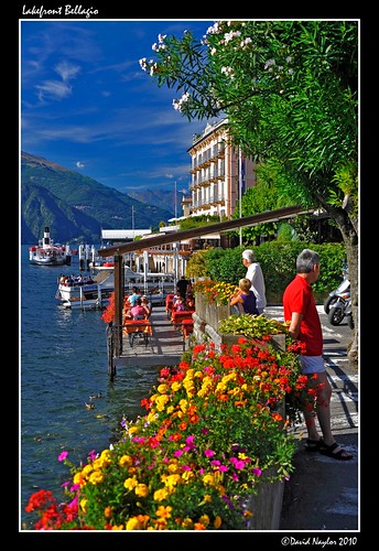 flowers italy lake water ferry restaurant boat nikon bellagio geranium oleander lakefront lagodicomo d700 davidnaylor