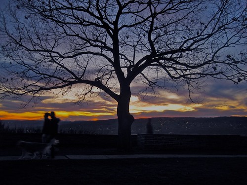 park sunset silhouette