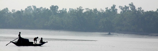 sunderbans west bengal