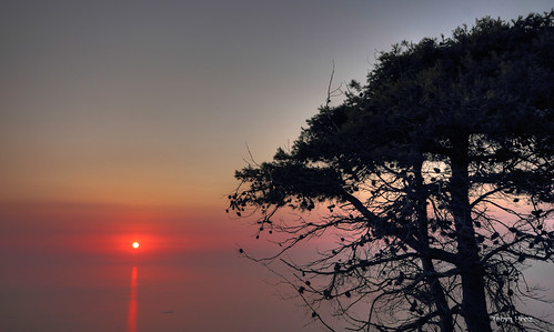 sunset italy tree ex pine canon reflections italia tramonto time sigma short albero pino 1020 tempo sicilia hsm 550d