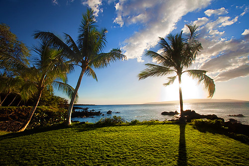 ocean sunset sea sky sun tree water grass clouds island hawaii coast rocks coconut south maui palm shore tropical kaho‘olawe brianknott forgetmeknottphotography fmkphoto