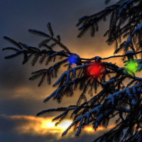 morning blue red sun tree green set clouds sunrise lights nikon raw cable christmastree fir merrychristmas happychristmas firtree nikond5000