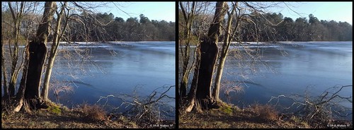 tree ice nature water outside outdoors frozen stereoscopic 3d pond brian stereo wallace christmaseve depth stereoscopy stereographic brianwallace stereoimage stereopicture 122410 abbottspond