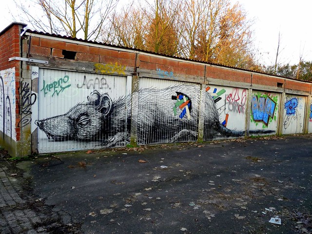 graffiti . streetart | roa | doel . belgium