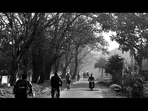 road street morning trees winter light blackandwhite sun monochrome canon landscape photography lights spring day shadows path bnw digitalphotography westbengal 500d iitkgp 2011 kgp kharagpur rebelt1i kissx3 neetesh neeteshg