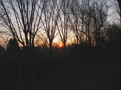 trees sunrise germany deutschland hessen bäume sonnenaufgang friedberg