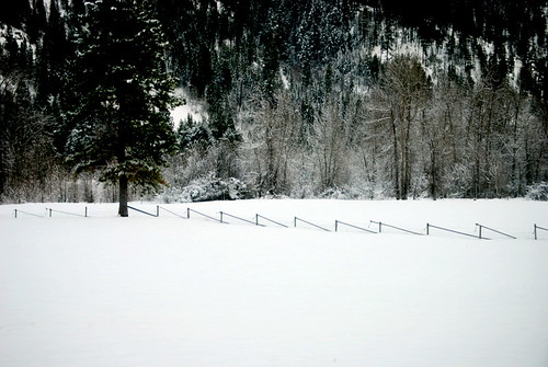 winter snow landscape bc minimal simple tulameen vanishingline winterintulameen